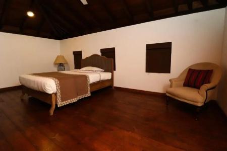 The Postcard Galle - 50