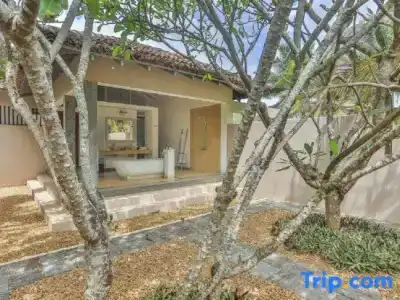 The Frangipani Tree by Edwards Collection - 43