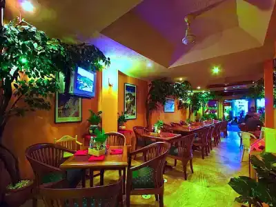 Paradise Inn - 21