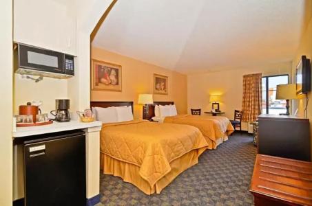 Quality Inn & Suites Dfw Airport South - 79