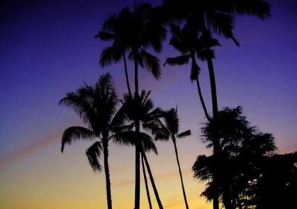 Mahaina Wellness Resorts Okinawa - 25