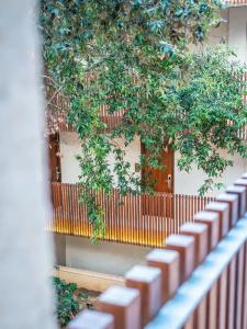 Canyamel Park & Spa - 4* Sup - Adults only (+16) - 97