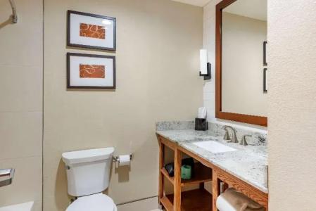 Comfort Suites - University - 39