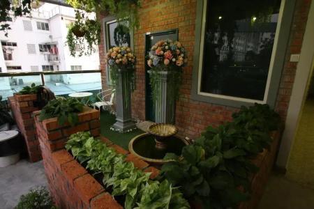 Shamrock Garden - 28