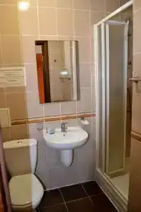 Мечта - 9