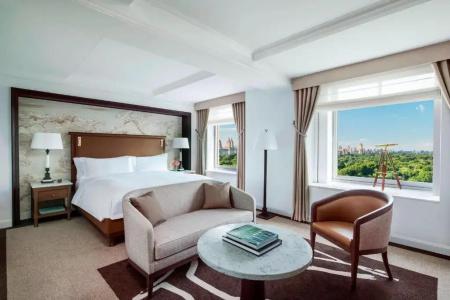The Ritz-Carlton New York, Central Park - 70
