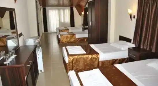 Green Palm - 4