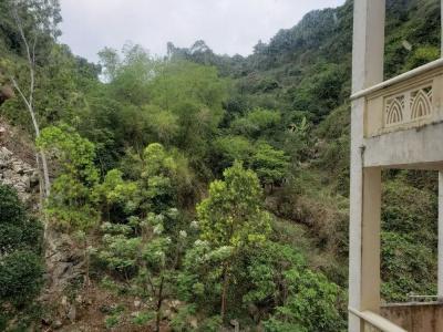 Cat Ba Plaza - 21