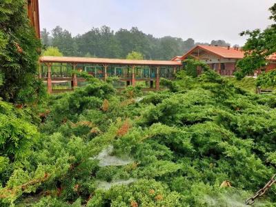 Stacja Nowa Gdynia Bed & Breakfast - 12