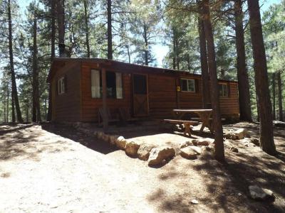 Arizona Mountain Inn & Cabins - 10