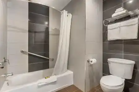 Best Western Plus - 51