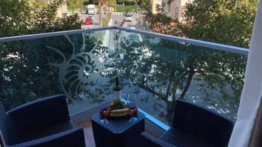Essence Boutique by Don Paquito - 47