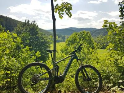 Winterberg Resort - 6