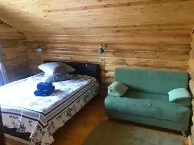 Инсар - 65