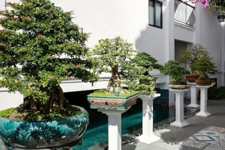 Riverside Impression - 45