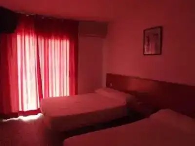 Iris - 40