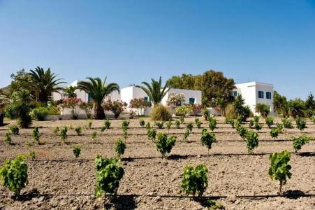 Kostantakis Winery Residence - 37