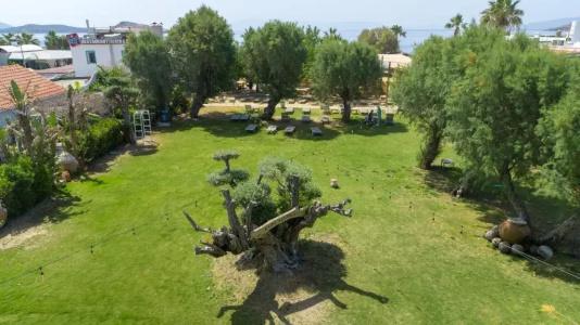 Kefi Beach & Suites - 61