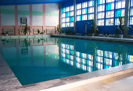 Голубые ели - 6