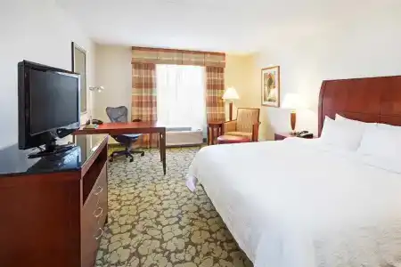 Hilton Garden Inn/Coastal Grand Mall - 4