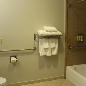 Holiday Inn Express & Suites Tucson Mall, An Ihg - 36