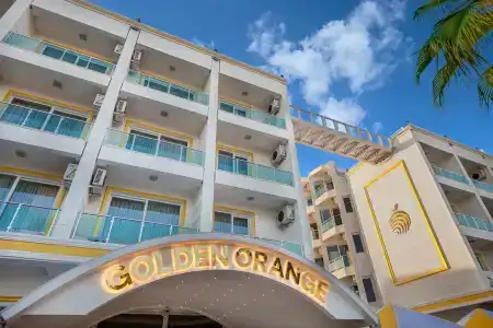 Golden Orange - 22