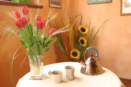 Il Colombaino - 25