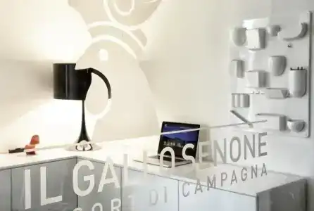 Resort Il Gallo Senone - 18