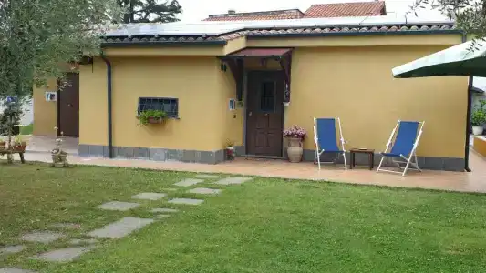 L'Antico Vigneto - 20