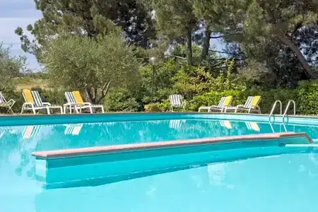 Panoramic - 35