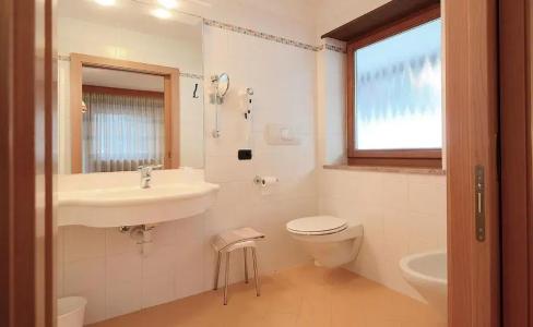 Dolomites Inn - 22