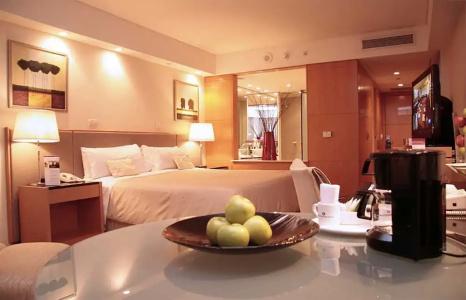 Melia Buenos Aires - 113
