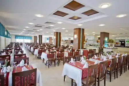 Trendy Palm Beach - 34