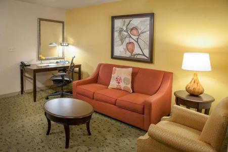 Hilton Garden Inn Airport/Medical Center - 56