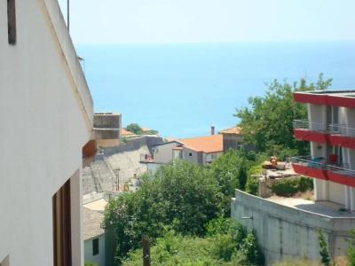 Cejovic - 15