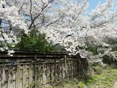 Hotel&Resort Yamanouchi Hills - 8