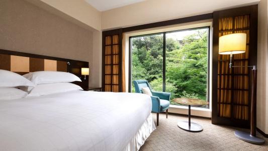 Sheraton Miyako Tokyo - 61