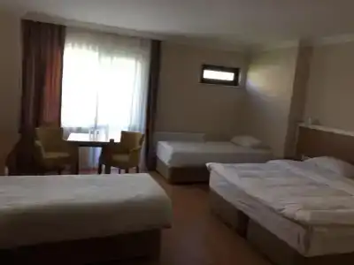 Emsa Palace - 41