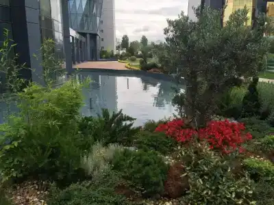 Tango Arjaan by Rotana Istanbul Asia - 1