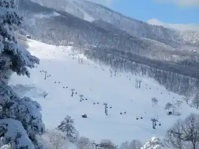 Madarao Elm Pension - 12