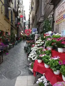 Non ci resta che Napoli - 13