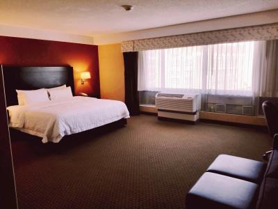 Hampton Inn & Suites Boston Crosstown Center - 24