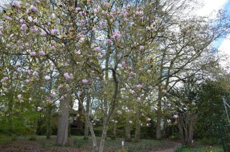 Manoir Du Parc (Adults only) - 51