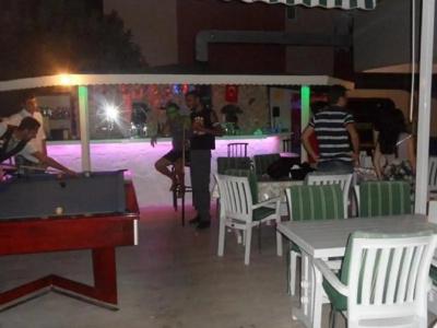 Green Palm - 16