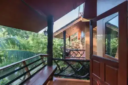 Khaosok Rainforest Resort - 172