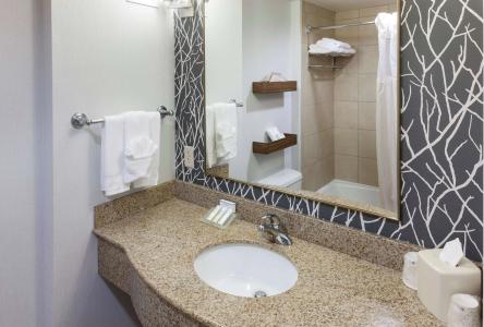 Hilton Garden Inn Austin North - 7
