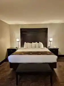Kelly Inn - 85