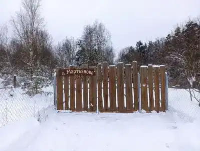 Семейное гнездо - 8