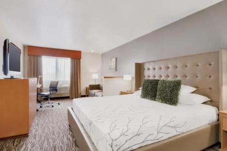 Best Western Plus Peppertree Airport Inn - 41