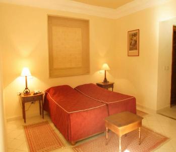 Sun Palm - 11